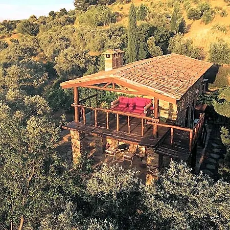 Hotel Gullu Mansions 3*